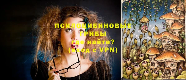 винт Майский